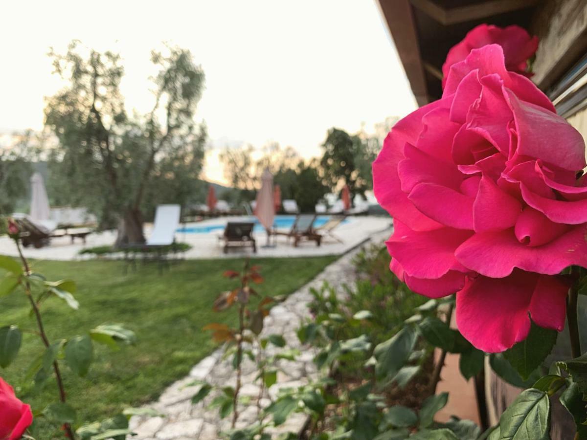 Hostal Parco Dei Limoni Peschici Exterior foto